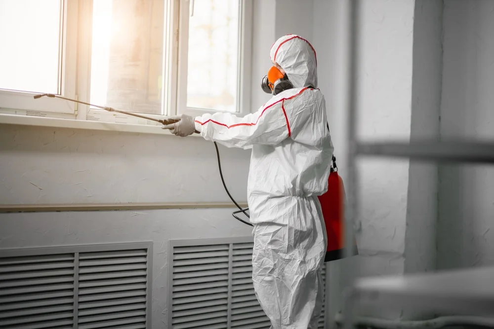 Professional mold remediation services in Richland, MI